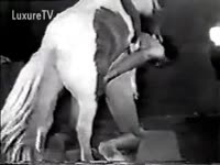Bestiality Sex Tube - My horse wont leave me alone